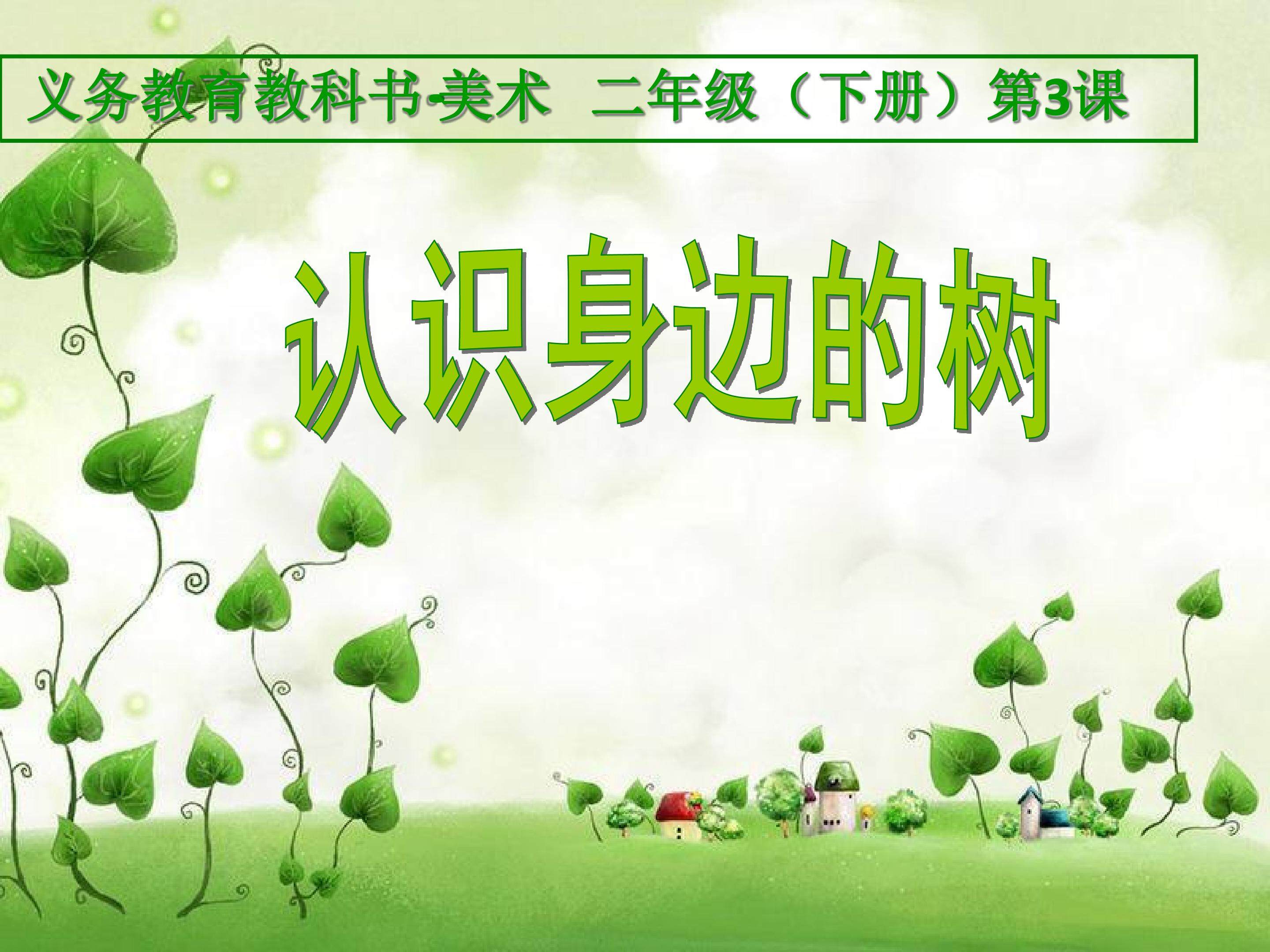 二年级下册第三课：认识身边的树