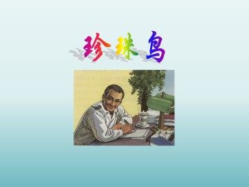 珍珠鸟_课件1