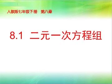 8.1 二元一次方程组
