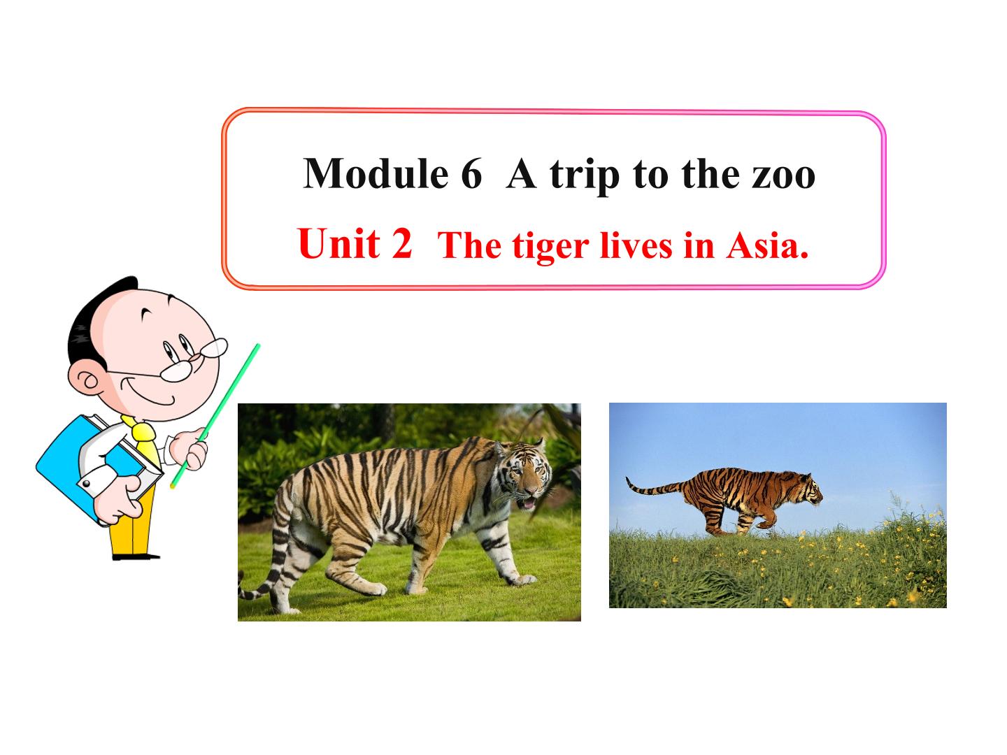 The tiger lives in Asia._课件1