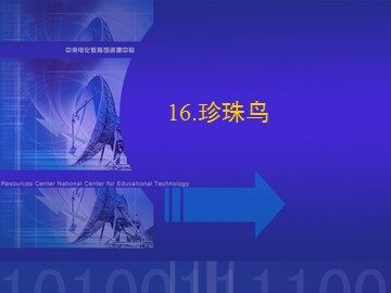 16* 珍珠鸟