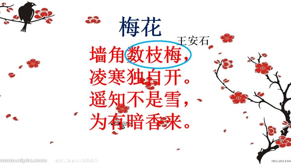 用字母表示数