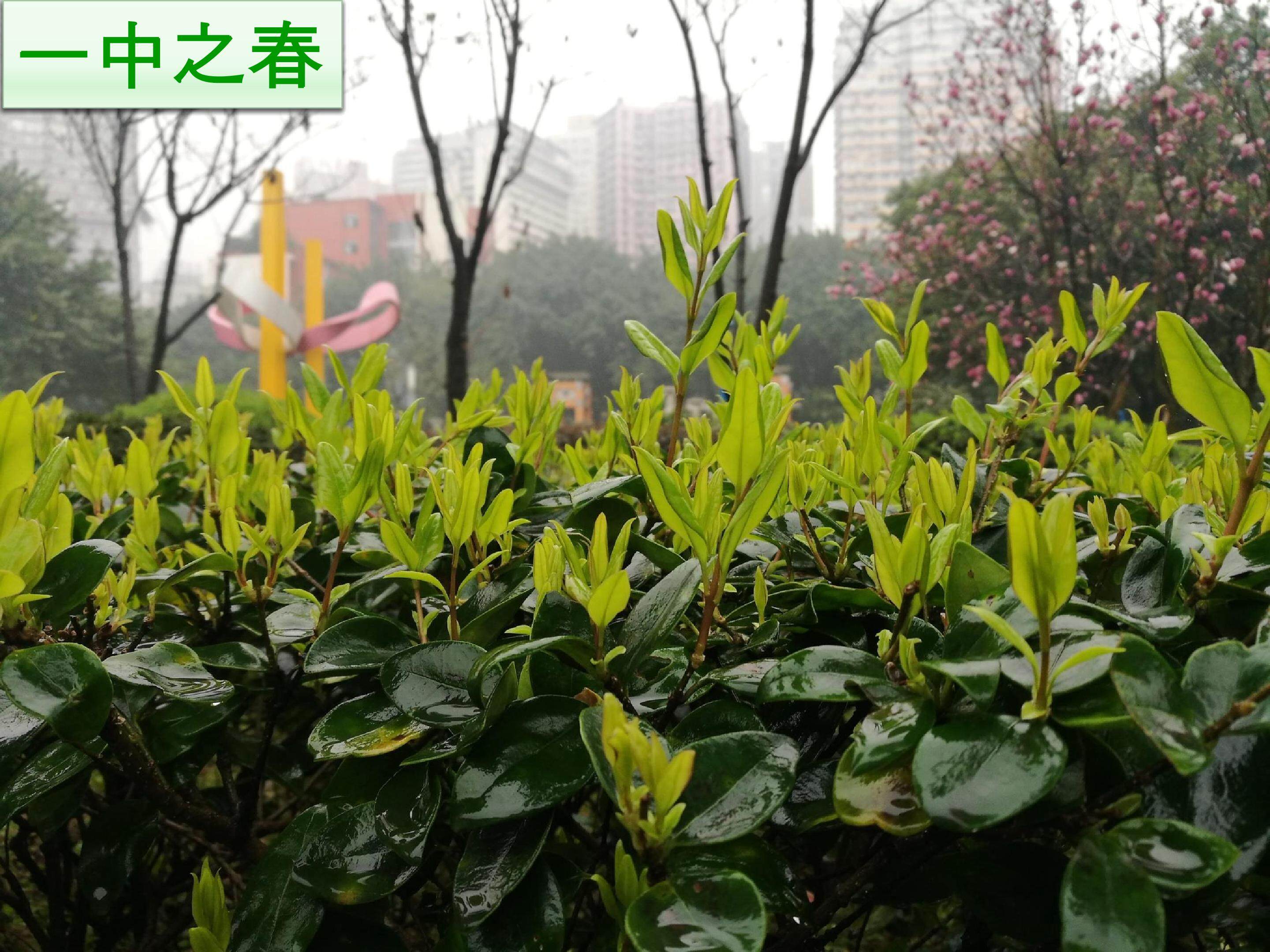 第一节　自然地理环境的整体性