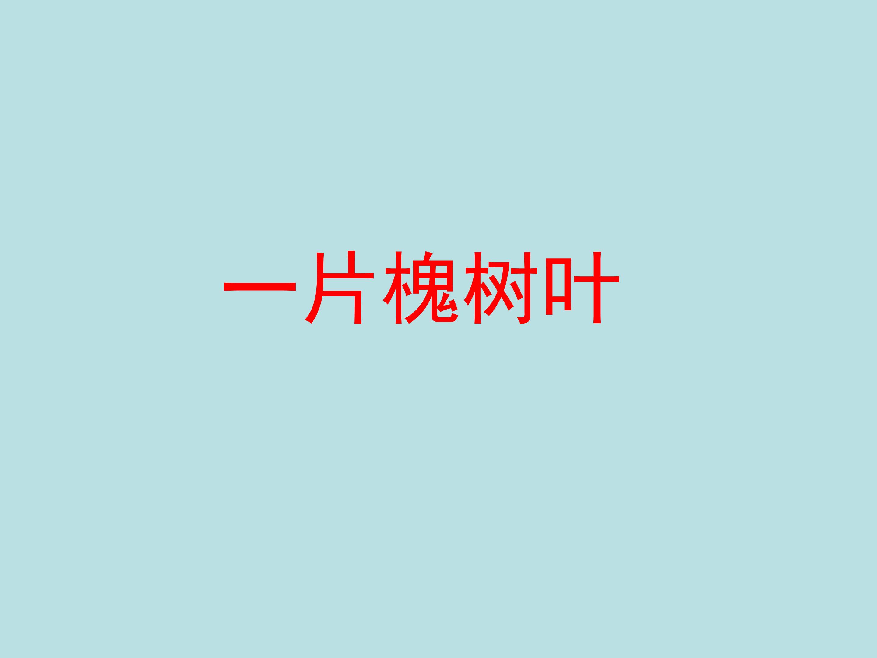 一片槐树叶_课件1