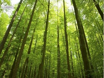 7 一个小村庄的故事