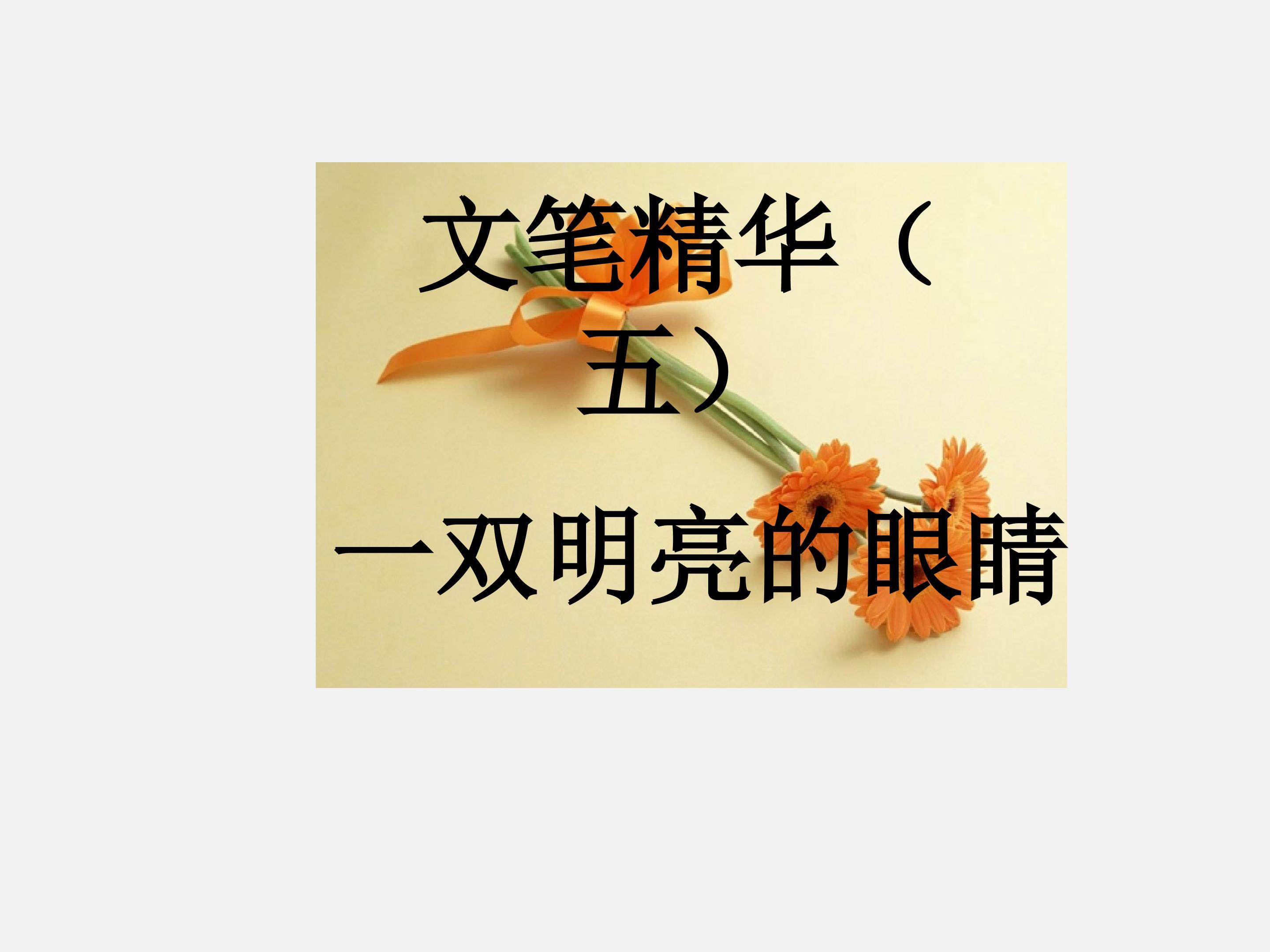 文笔精华_课件1