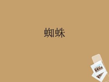 蜘蛛_课件1
