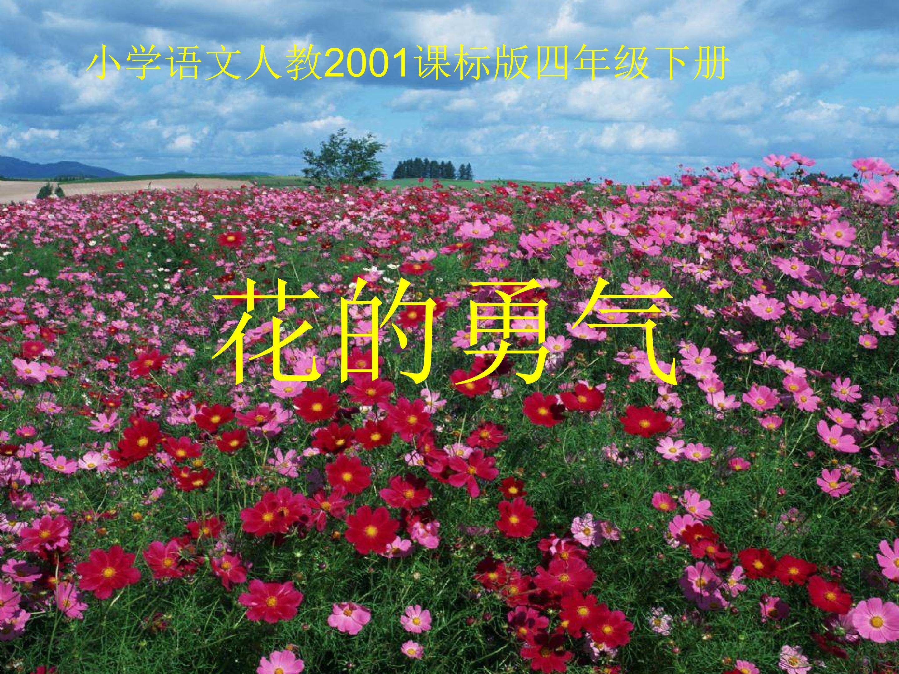 花的勇气