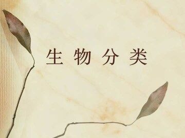 生物的分类_课件1