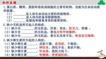 第二章第二节 消化和吸收