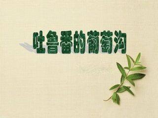 吐鲁番的葡萄沟_课件1