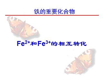 第二节 几种重要的金属化合物