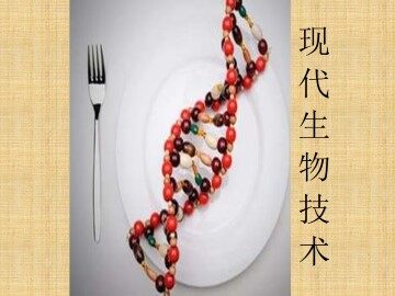 现代生物技术的发展_课件1