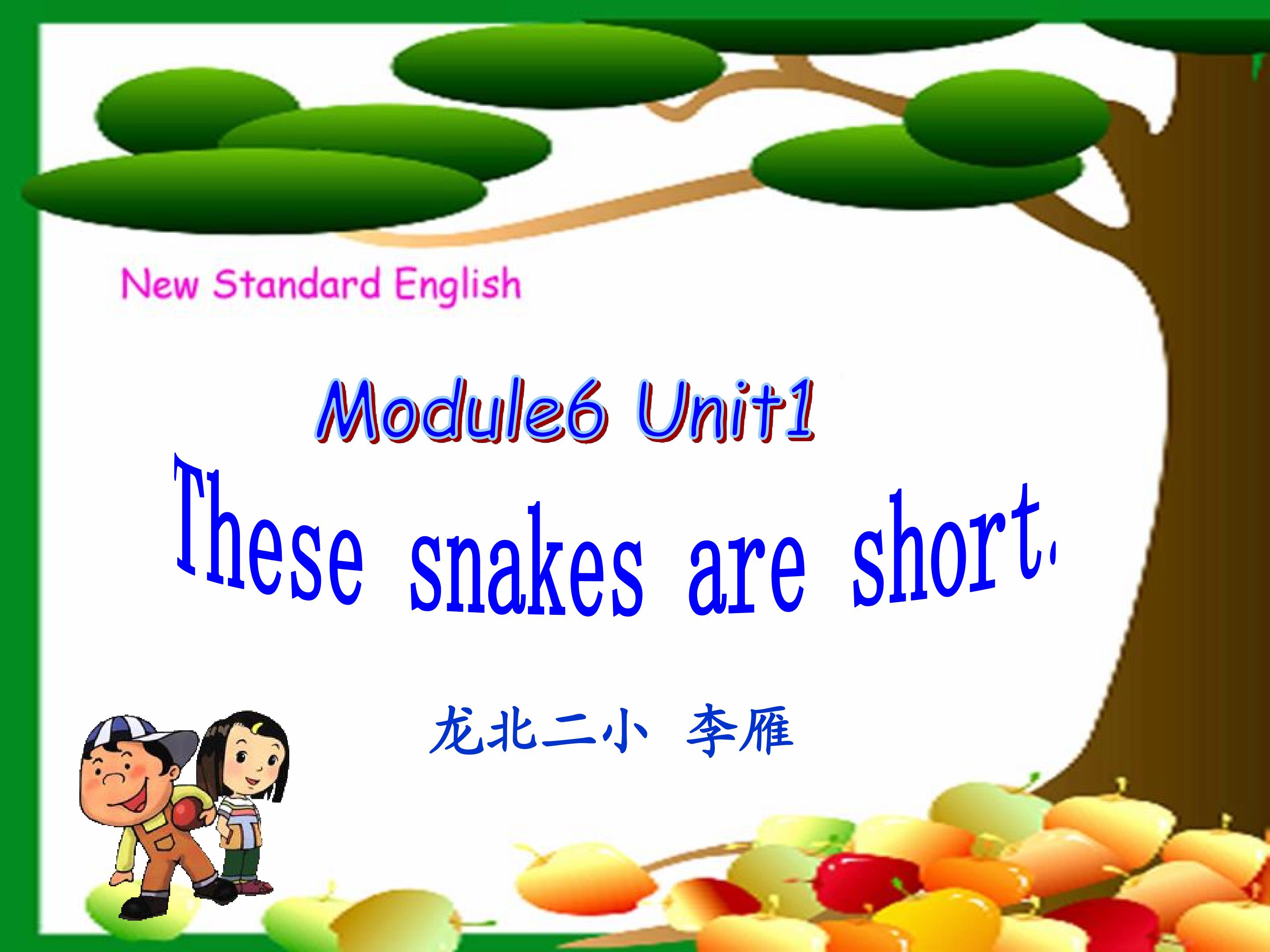 module 6 unit 1  These snakes are short.