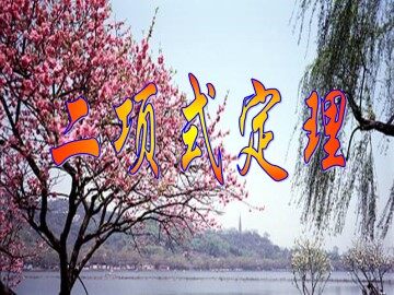 二项式定理_课件1