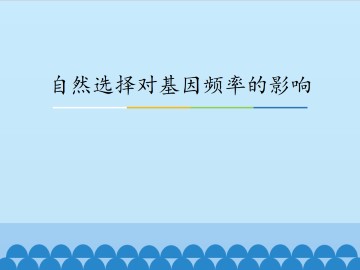 自然选择对基因频率的影响_课件1