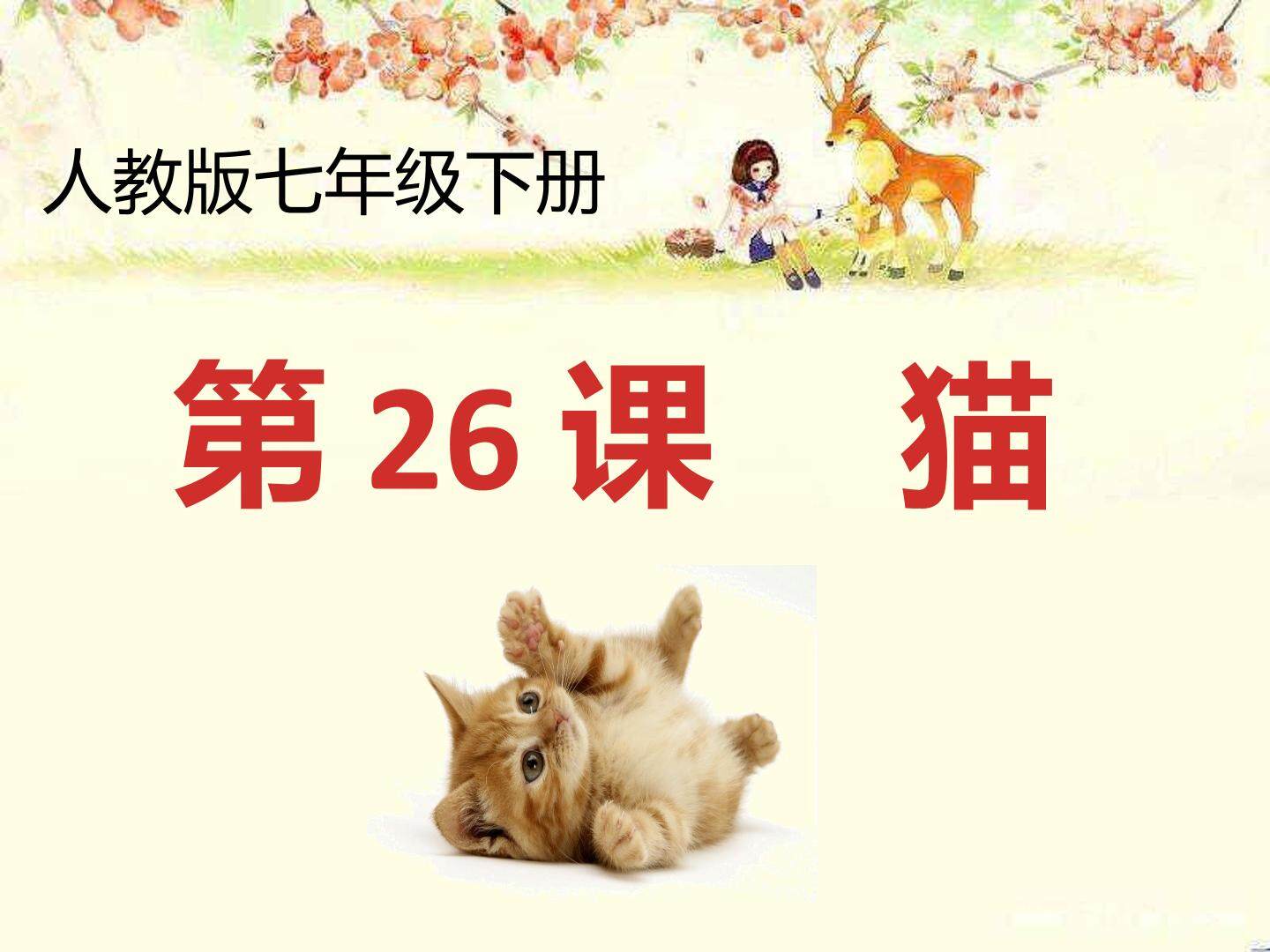 26 猫 