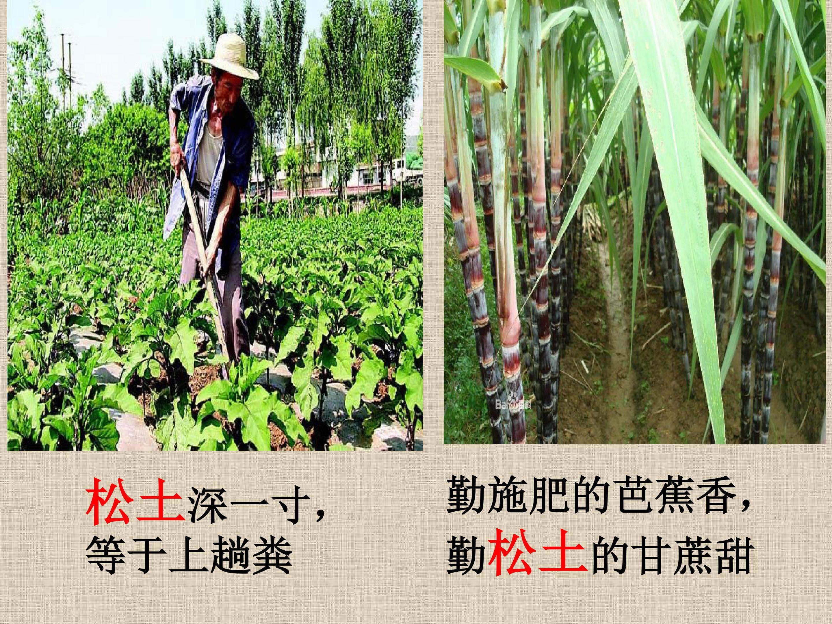 ATP的主要来源--细胞呼吸
