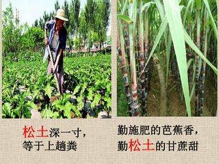 ATP的主要来源--细胞呼吸