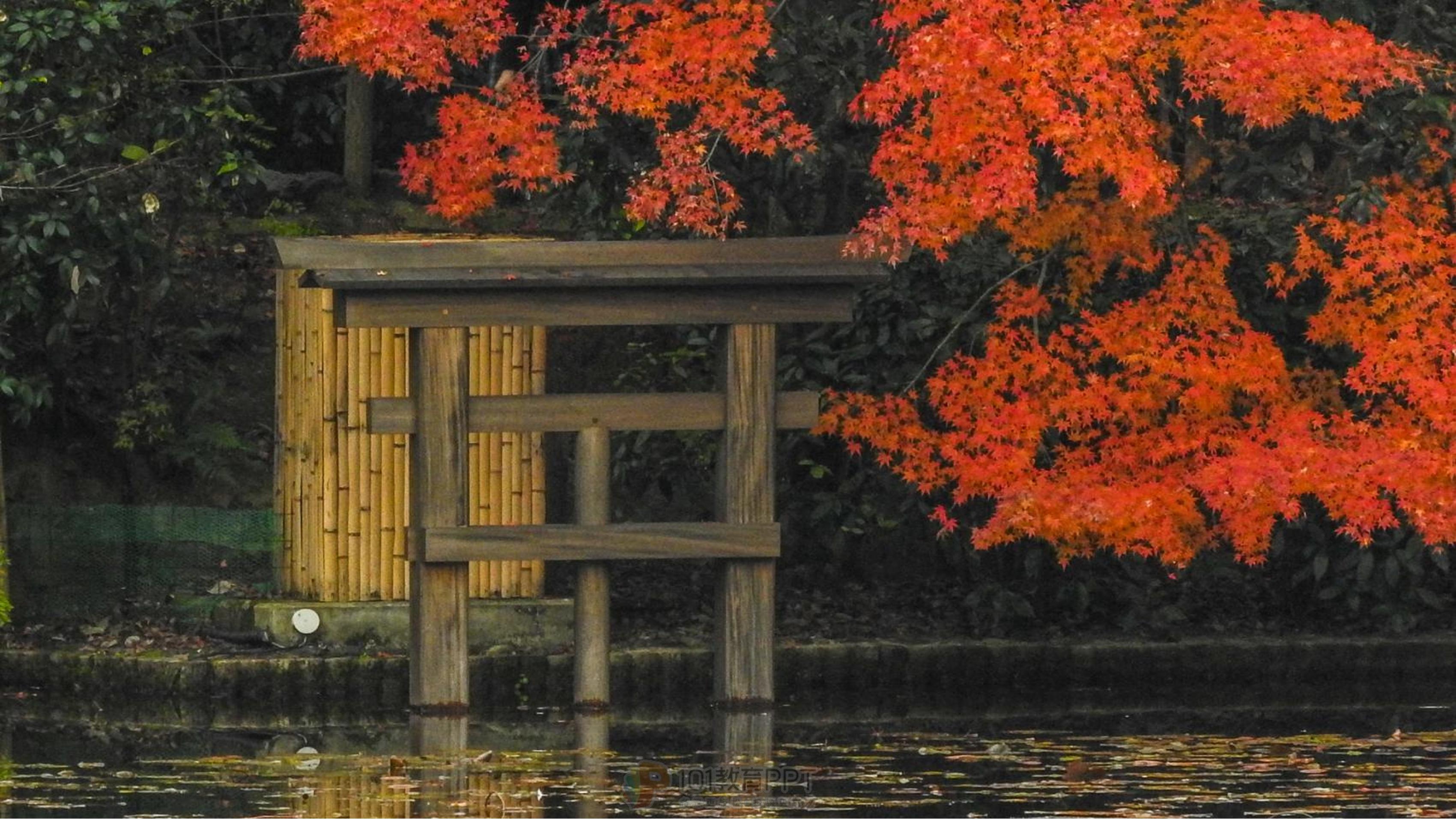 32