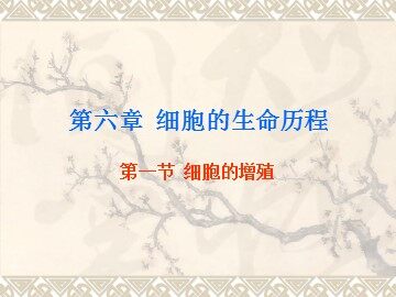 第1节  细胞的增殖