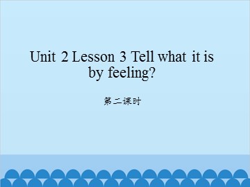 unit 2 Lesson 3 Tell what it is by feeling 第二课时_课件1