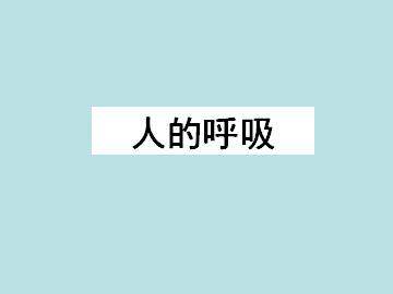 人的呼吸_课件4