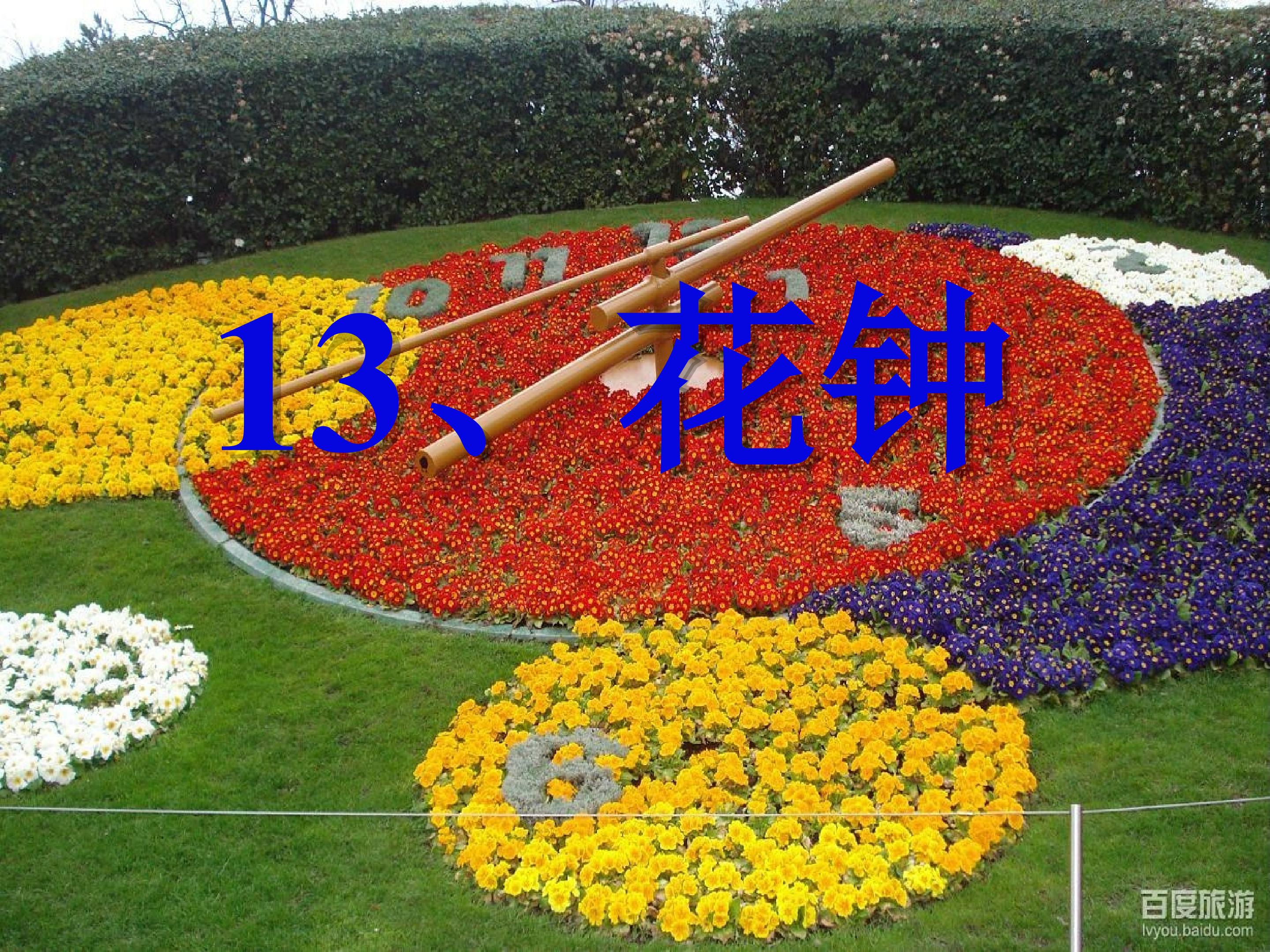 18.jpg