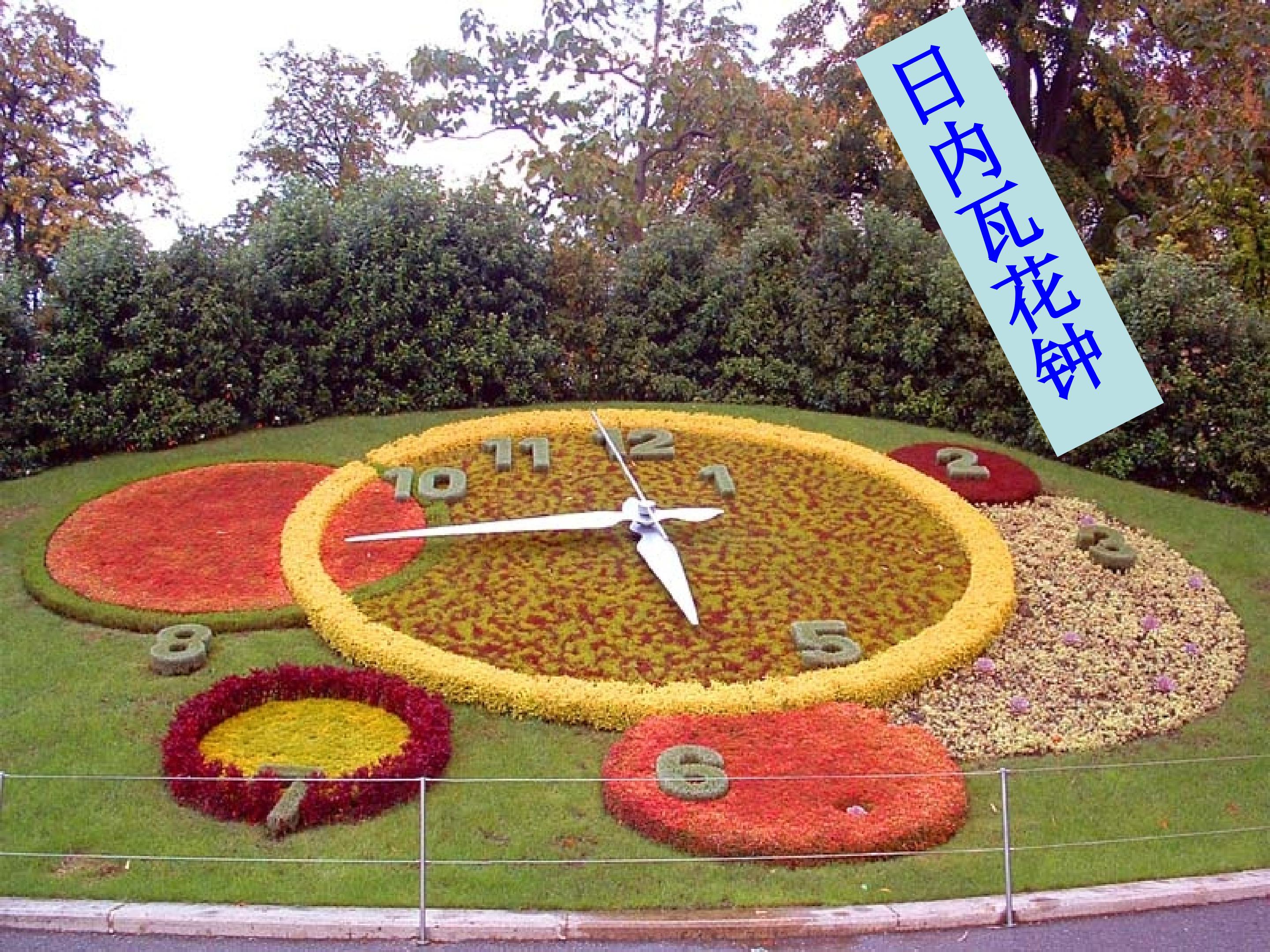 50.jpg