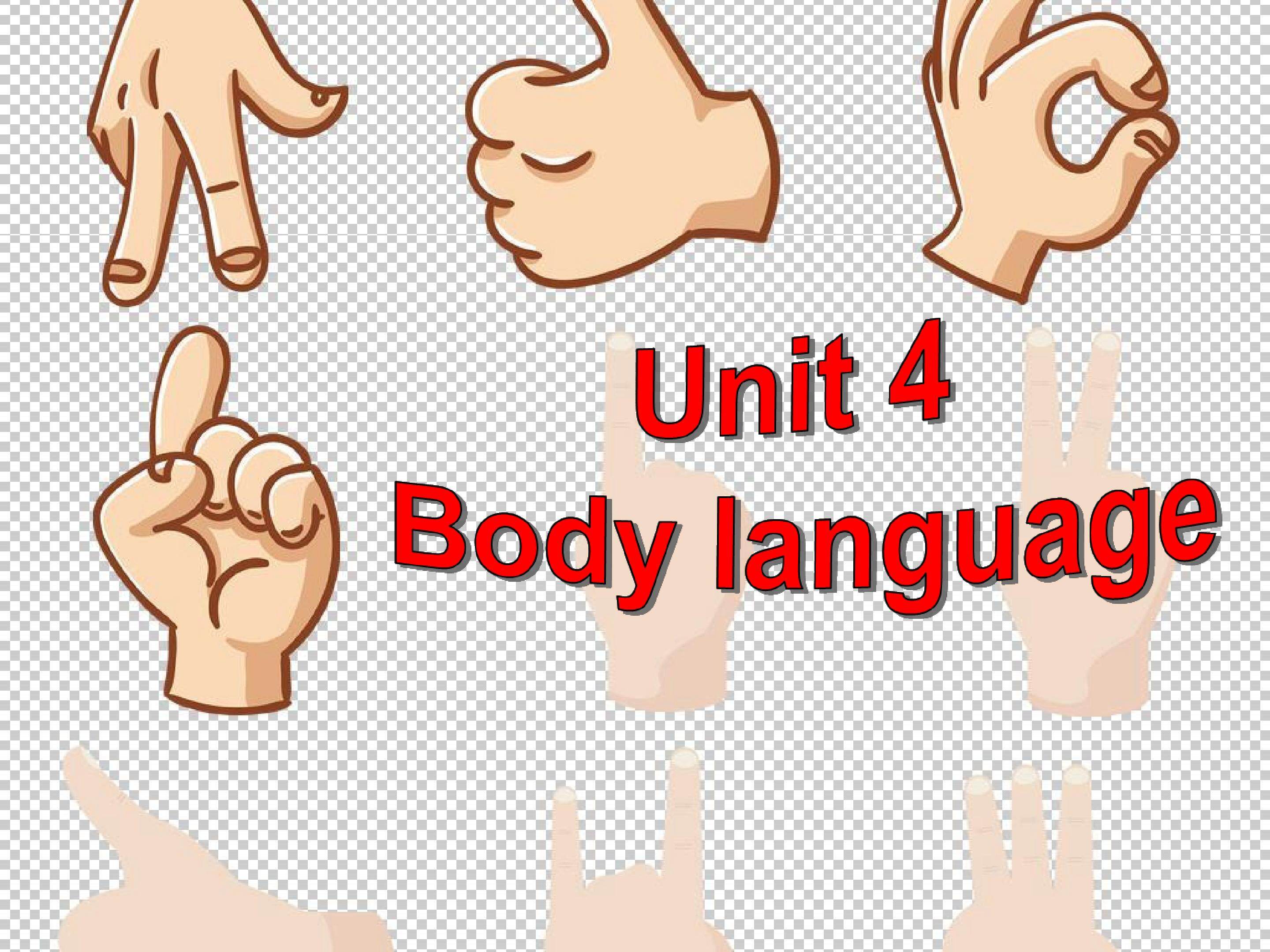 Book4 Unit4 Body Language