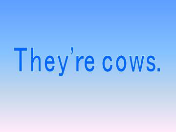 They're cows._课件1