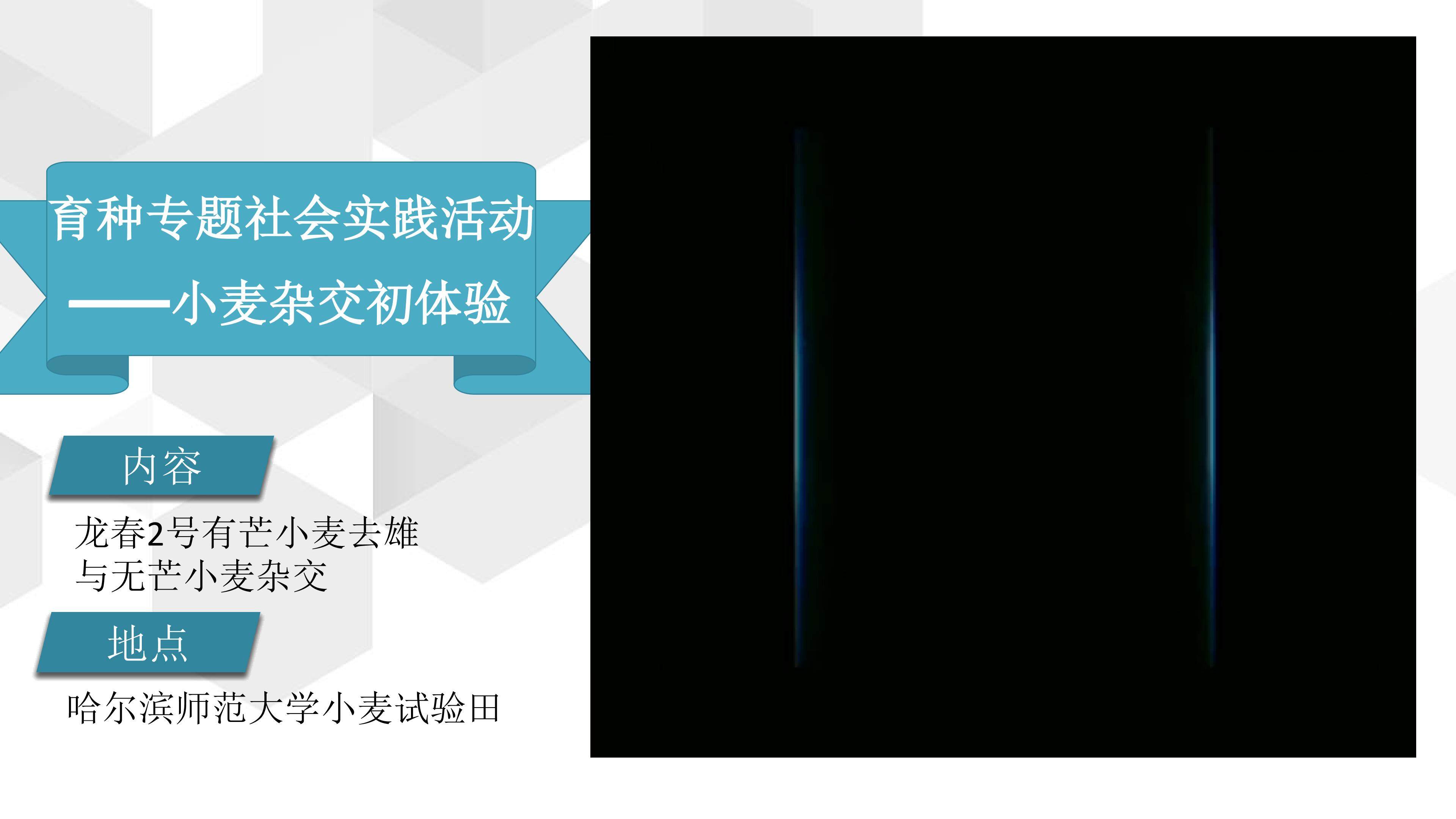 育种专题复习与测试