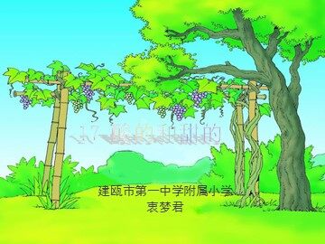 17、酸的和甜的 课件