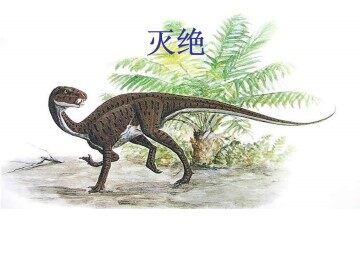 恐龙的灭绝_课件2