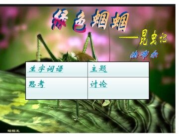 绿色蝈蝈_课件2