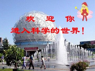 3.米饭、淀粉和碘酒的变化