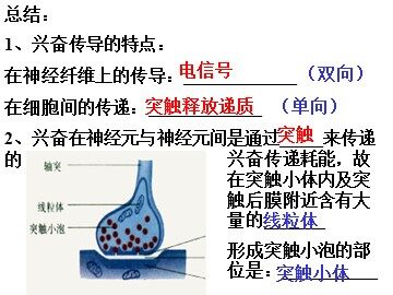生物高中必修3第二章第二节课件1