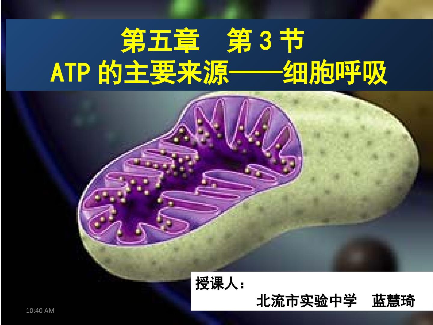 ATP的主要来源——细胞呼吸