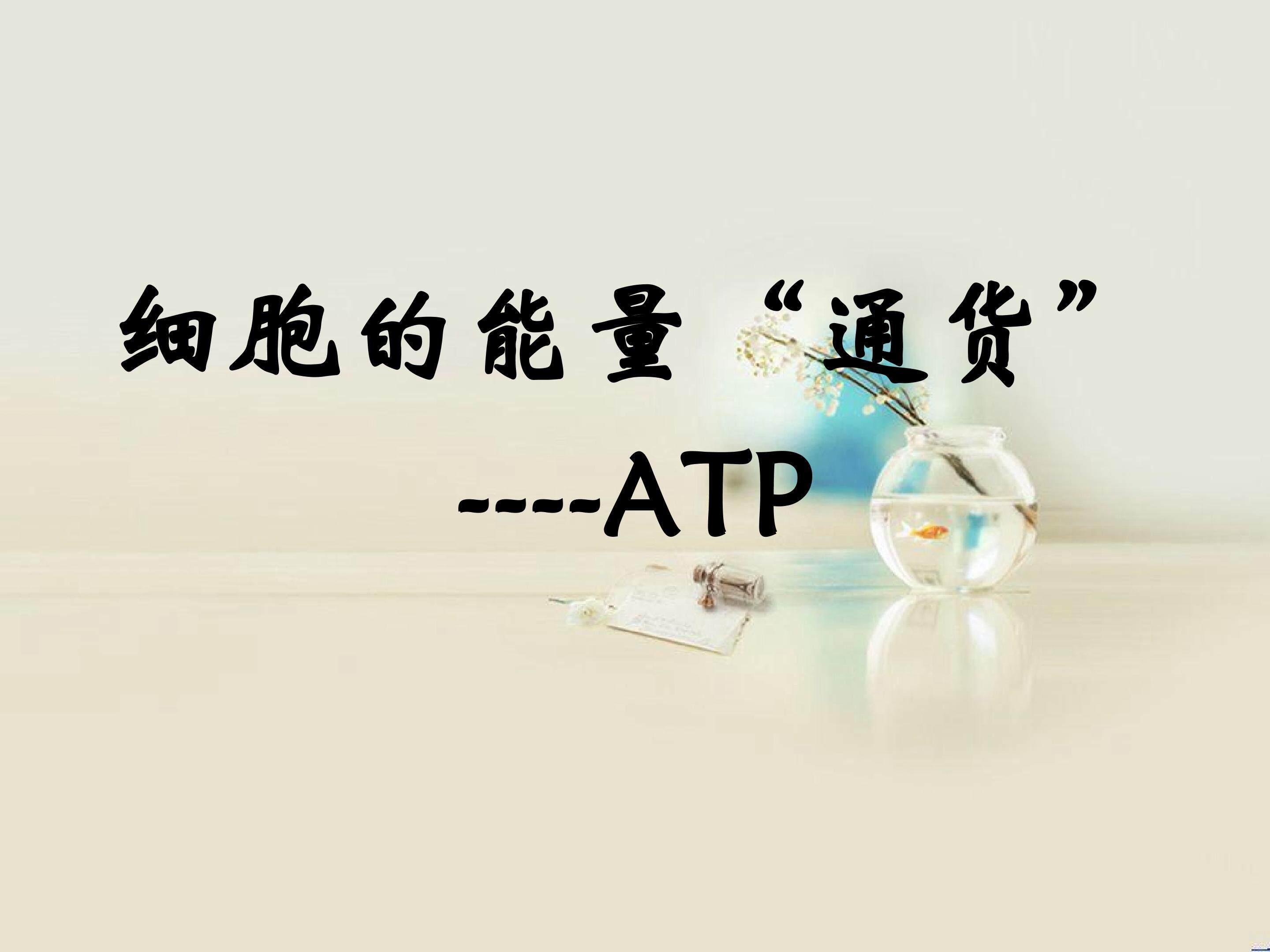 细胞的能量“通货”--ATP