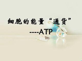 细胞的能量“通货”--ATP