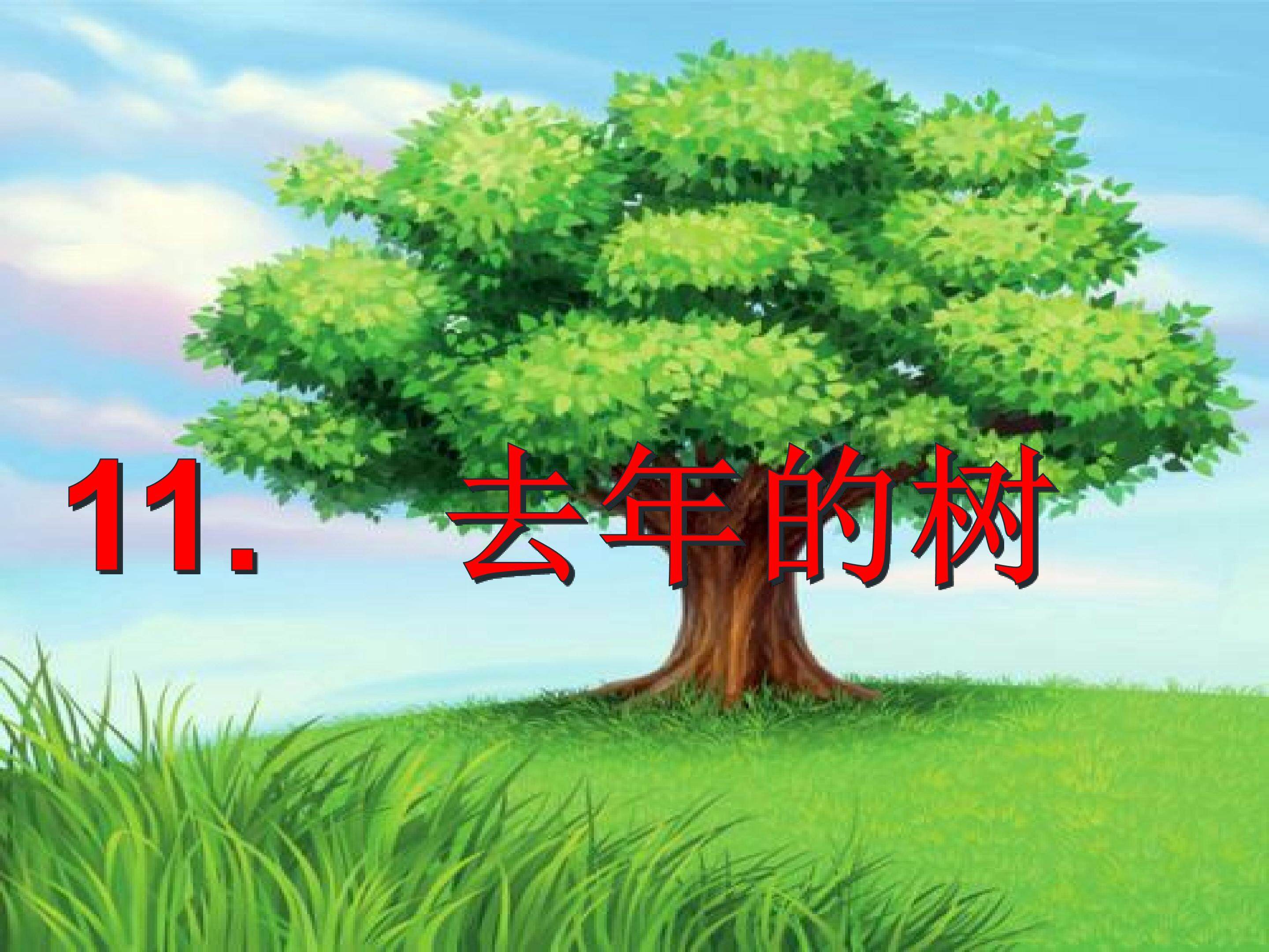 11.   去年的树