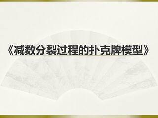 减数分裂过程的扑克牌模型