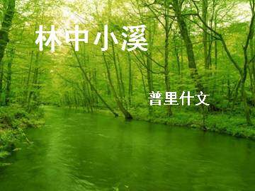 林中小溪_课件1