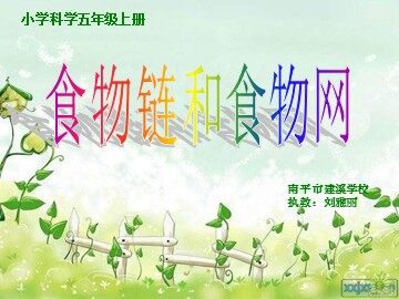 《食物链和食物网》课件