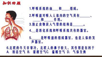 第三章第二节 发生在肺内的气体交换