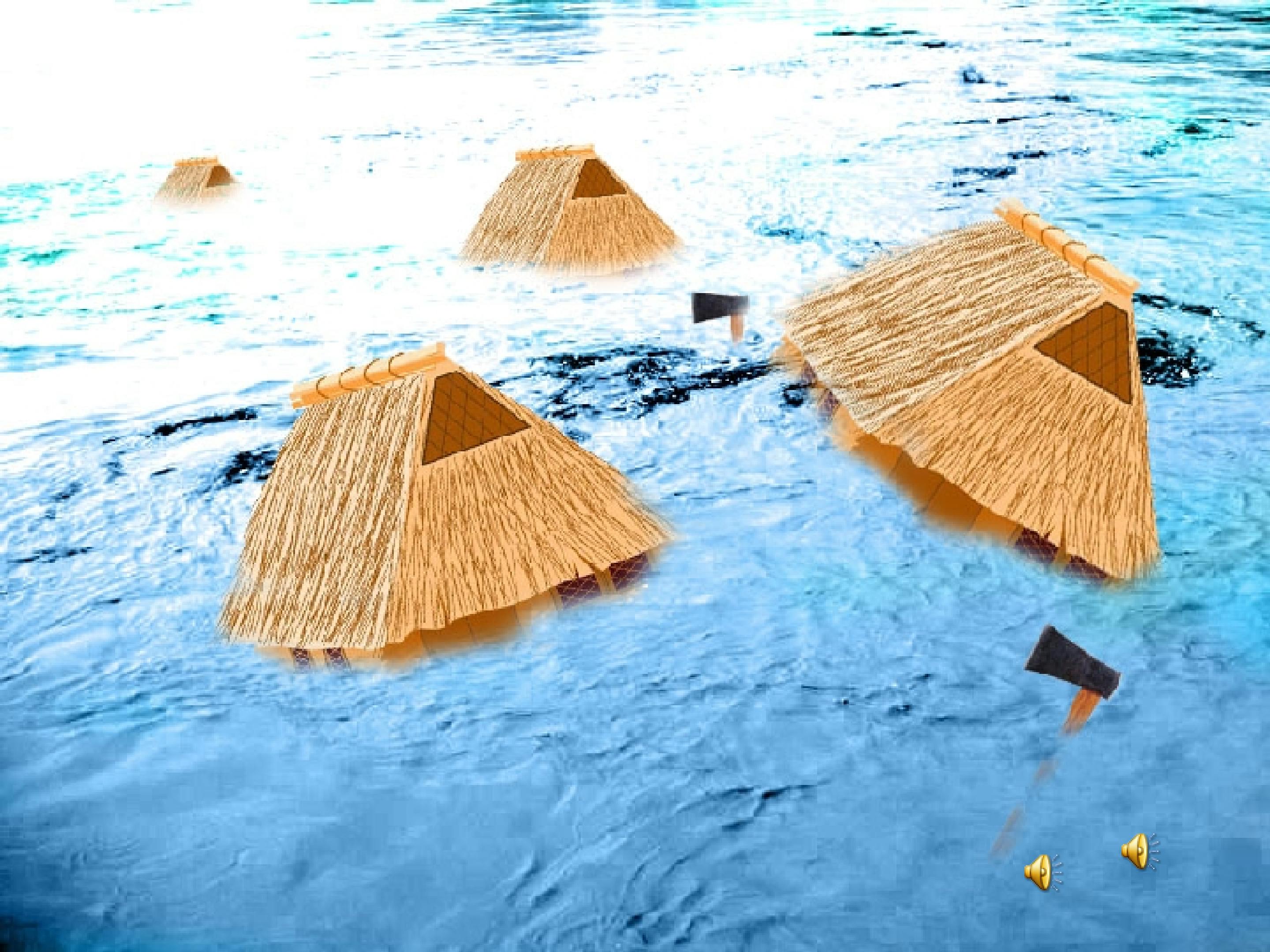 33.jpg