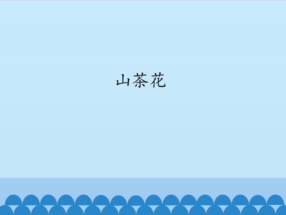 山茶花_课件1