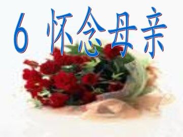 6 怀念母亲 