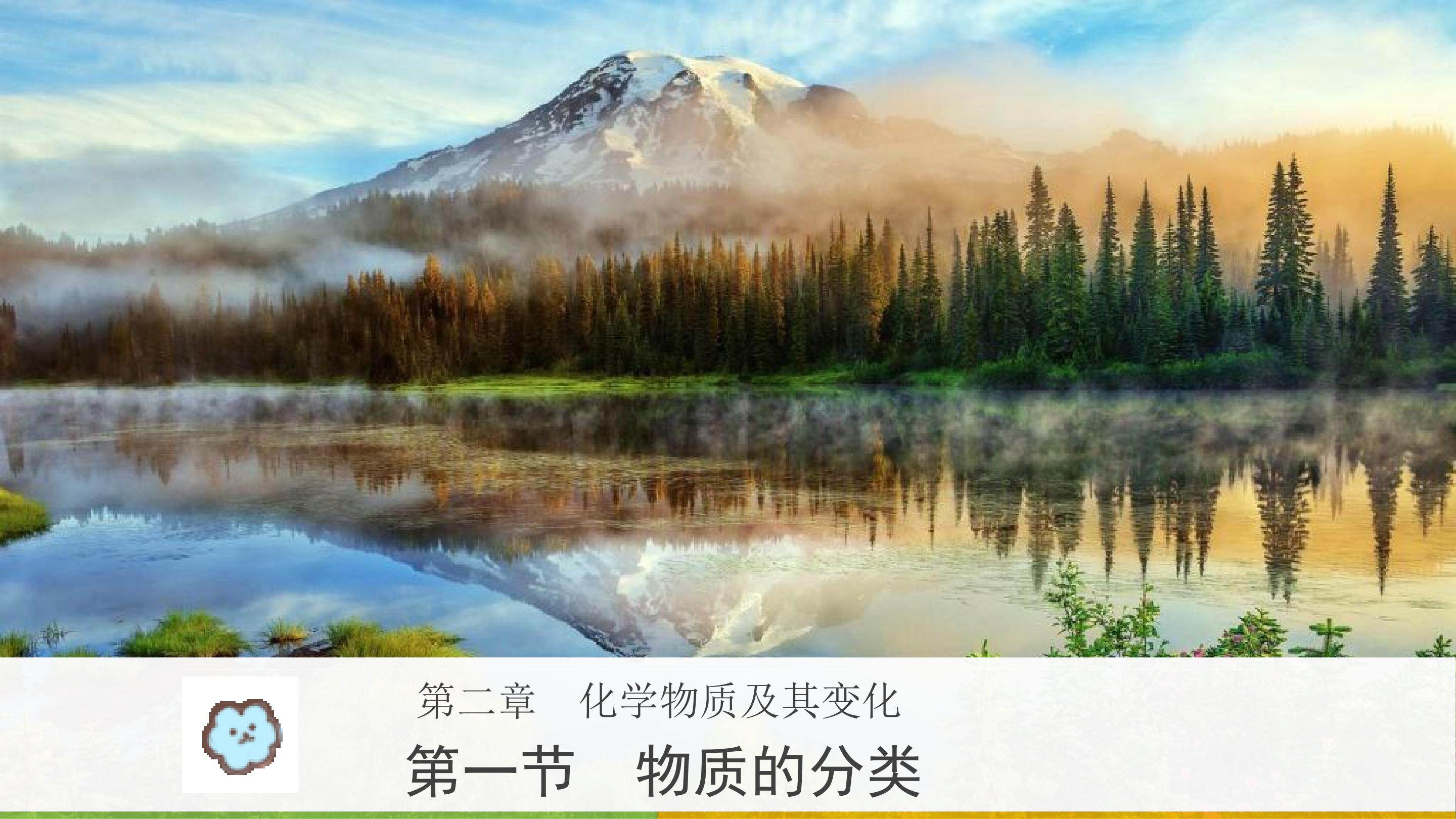 物质的分类