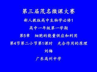 光合作用的原理